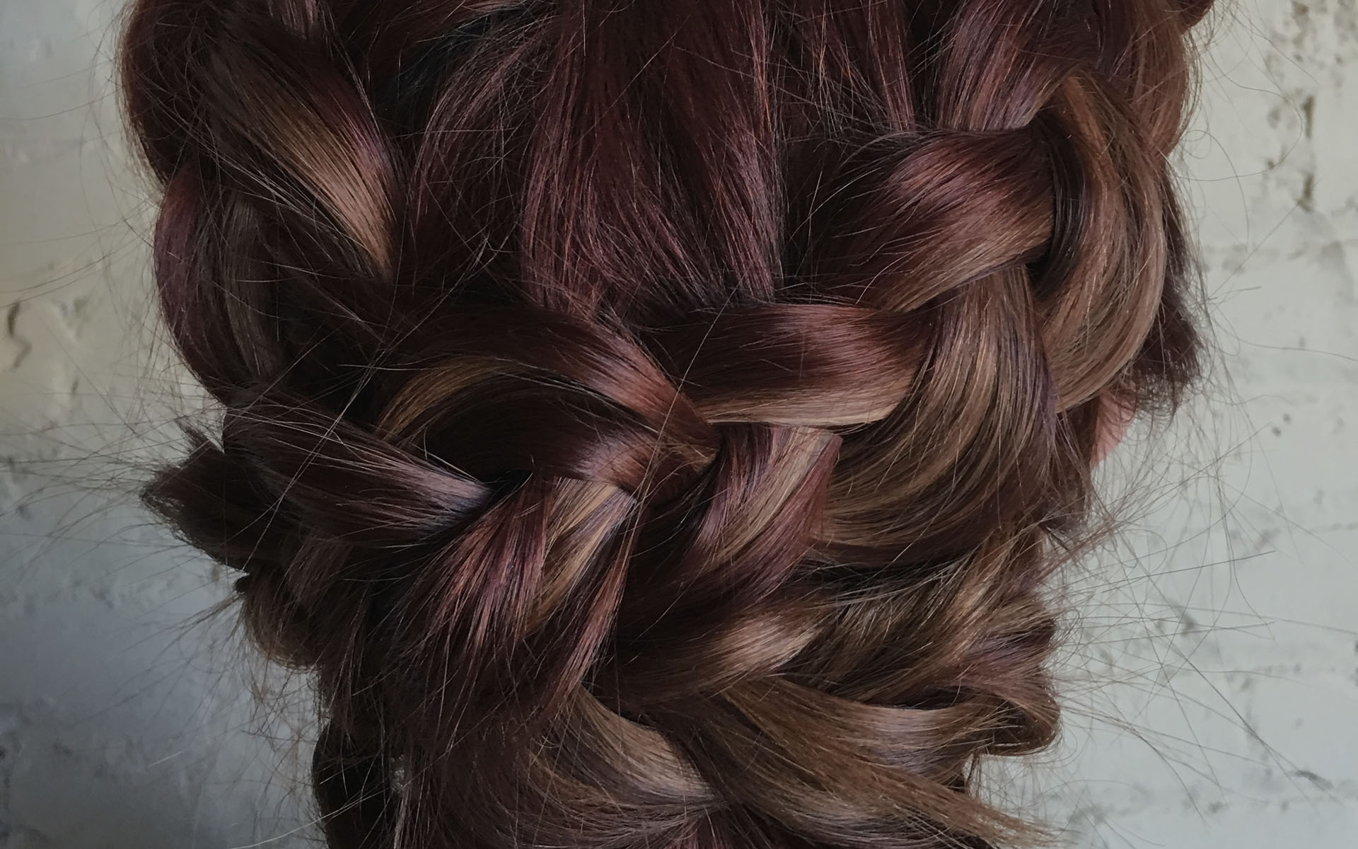 hair-braids-with-dark-overlay